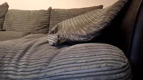 tyson2512 online show from February 16, 10:52 pm