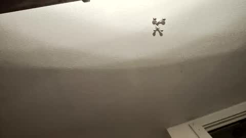 uncut_widda_bigbutt online show from February 3, 4:14 am