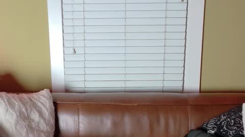 undecidedflame online show from February 3, 11:52 pm