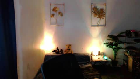 Bib online show from November 23, 5:27 am