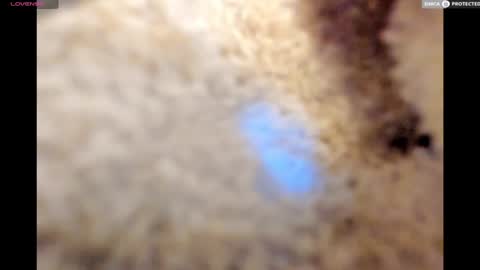 Big Daddy online show from January 17, 11:18 pm