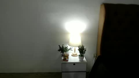 HI IM SHINE  online show from November 23, 6:55 am