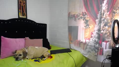 valery_hot_bg online show from November 9, 6:54 pm