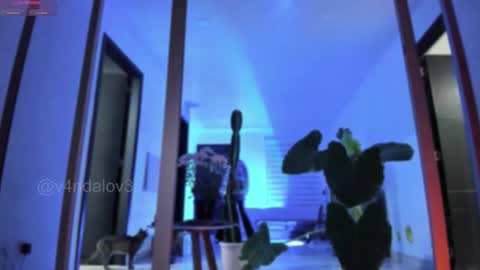 Babi Alu online show from February 3, 10:41 am