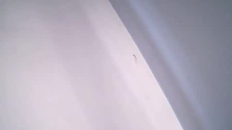 vanessaanythinggoes online show from April 10, 11:15 am