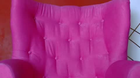 Hi were velma and Selma online show from March 21, 8:19 am