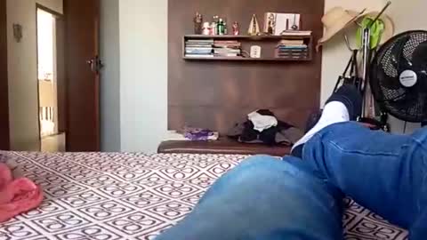 velozsempre online show from March 23, 6:13 pm