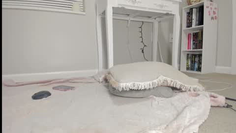 Harley   instahailharleyy online show from March 6, 3:49 am