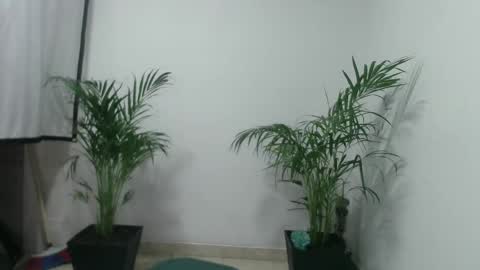 vennus6969 online show from March 5, 1:10 am