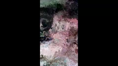 viento496211112 online show from February 7, 4:04 am