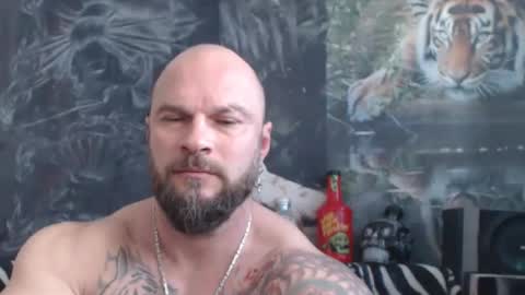 viking online show from April 15, 10:29 am