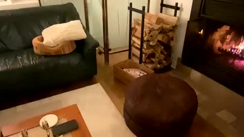 Vivlove online show from December 21, 11:56 pm