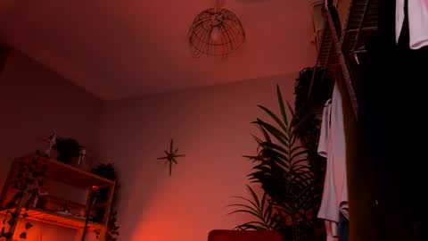 Polly  Online mostly at 9pm-2am UK Time online show from March 25, 6:58 pm