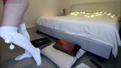 Sunshiny online show from February 16, 7:49 pm