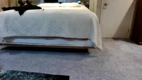 w3llbit online show from February 15, 5:19 am