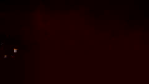 w3llbit online show from December 23, 10:43 am