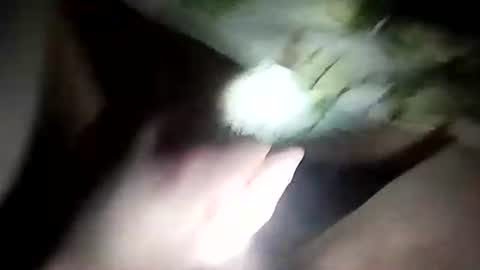 wariatos3 online show from January 10, 12:17 am