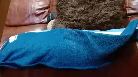 Hereforfun online show from November 24, 3:16 am