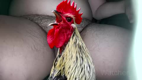 classified online show from October 7, 8:16 pm