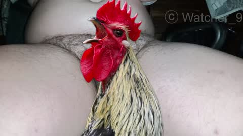 classified online show from December 25, 8:50 pm