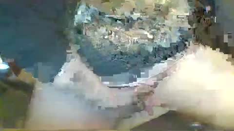 wcs1467 online show from February 12, 9:46 am