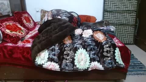 Snapshot of we_are_indian chatting on December 23, 12:08 pm khushiwife kabirhubby kavyasexy gf online show from December 23, 12:08 pm