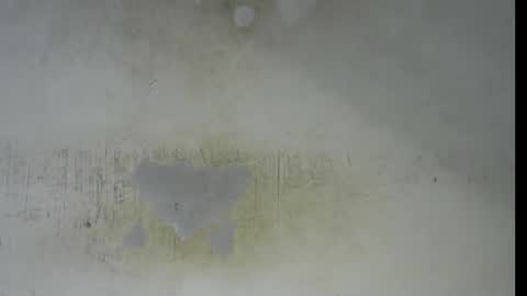 Bella online show from February 7, 9:29 pm