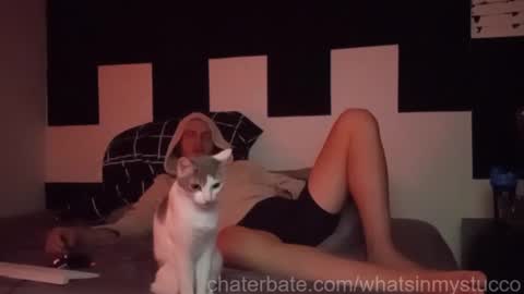 whatsinmystucco online show from January 11, 11:05 am