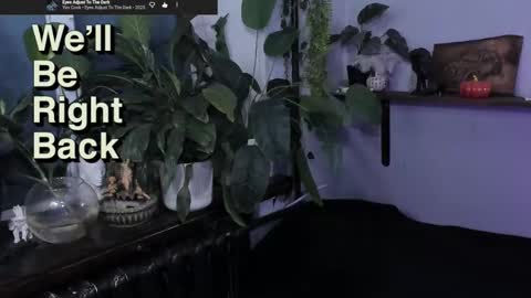 Gus online show from November 12, 9:39 pm