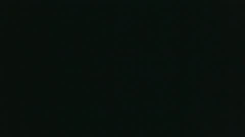 whitehead_lion online show from February 13, 10:24 pm