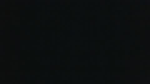 whitehead_lion online show from September 17, 5:16 pm