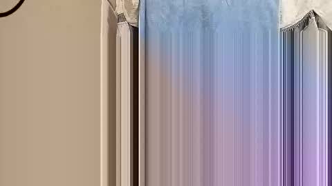 whodunnitwrangler online show from November 20, 2:21 am