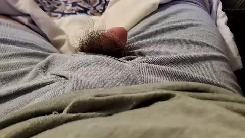 Wild-at-heart online show from December 22, 2:49 am