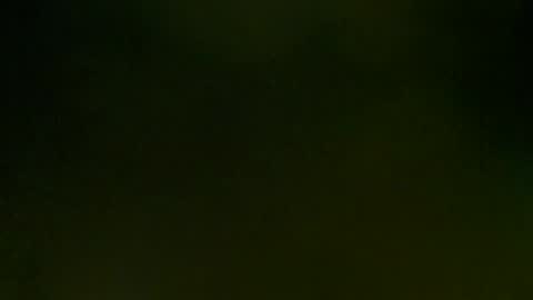 WildPersia online show from March 8, 9:08 pm