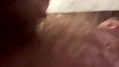 williamdyagoda online show from November 14, 5:04 pm