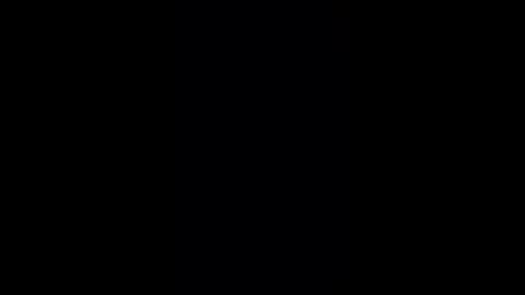 willou73 online show from December 4, 1:11 pm