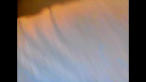 willywinkwer online show from March 20, 10:26 pm