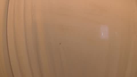 Mater online show from October 19, 3:27 pm