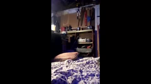 wowsers7 online show from March 13, 1:20 am