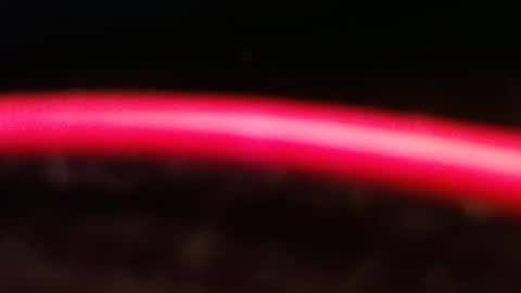 wrangleat0r online show from February 15, 1:52 am