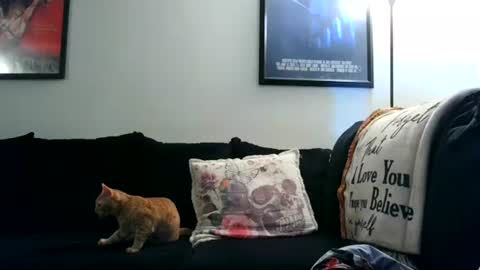 Snapshot of wrenleigh chatting on September 12, 7:32 am Crystal Lake online show from September 12, 7:32 am