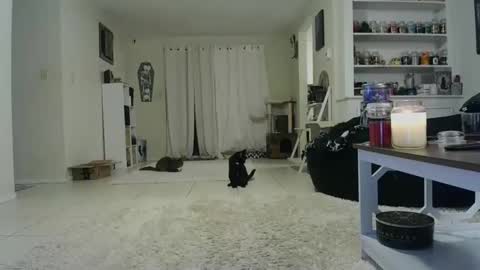 Snapshot of wrenleigh chatting on October 19, 7:46 am Crystal Lake online show from October 19, 7:46 am