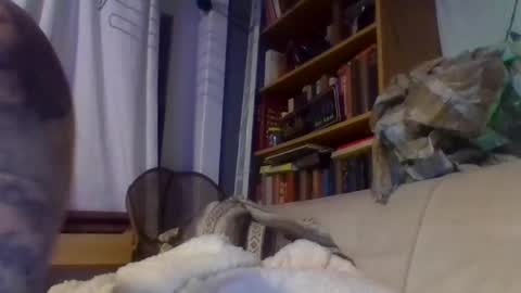 John online show from December 17, 11:16 pm