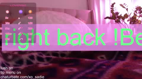 Xo Sadie online show from December 1, 6:22 am