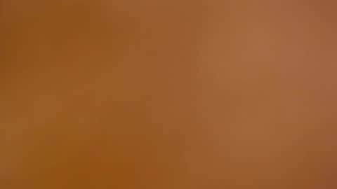 Snapshot of xsecretobsessionx chatting on February 15, 2:04 am Zoey online show from February 15, 2:04 am