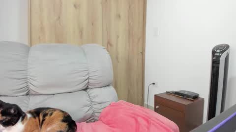 Hellen Sofia instagram hellen5546 online show from March 12, 2:21 pm