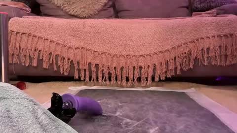 xxfairyxgiiirlxx online show from January 31, 11:57 pm