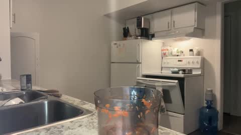 Xylea Luv online show from February 22, 4:29 am