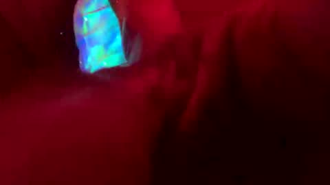 Ella Ts online show from October 5, 2:42 am