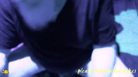 .     y e l l o w s n a k e s       . online show from December 3, 8:59 am